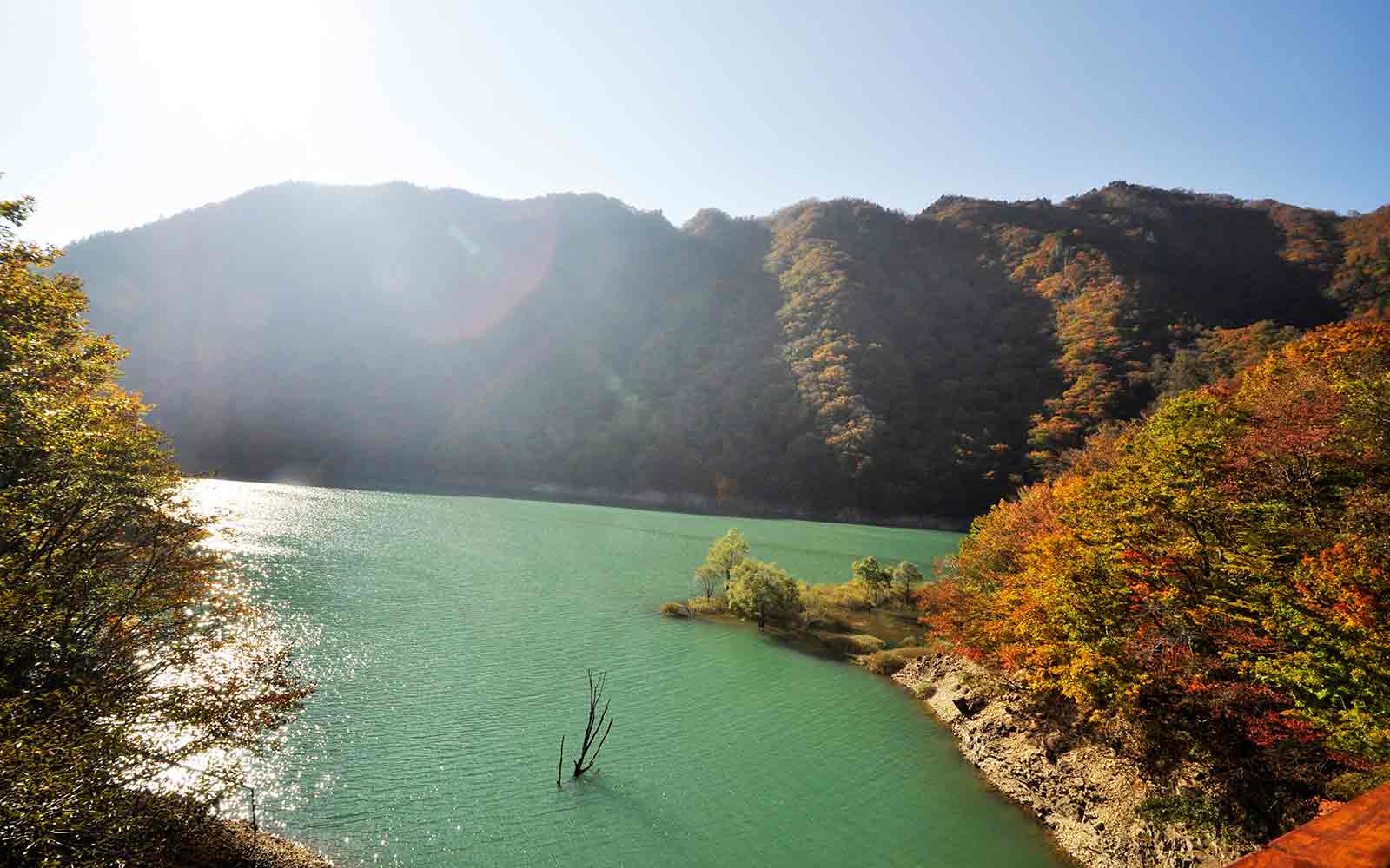 沼ッ原湿原