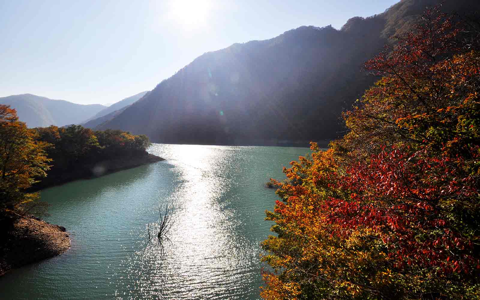 沼ッ原湿原