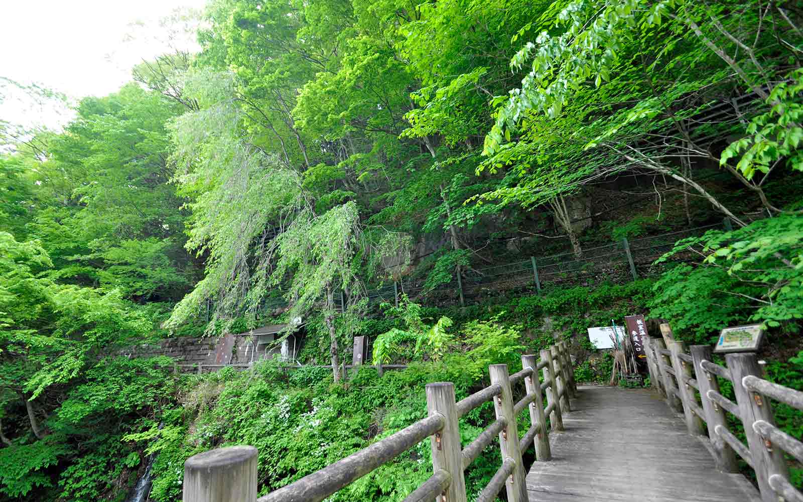 木の橋を渡って少し登ります。