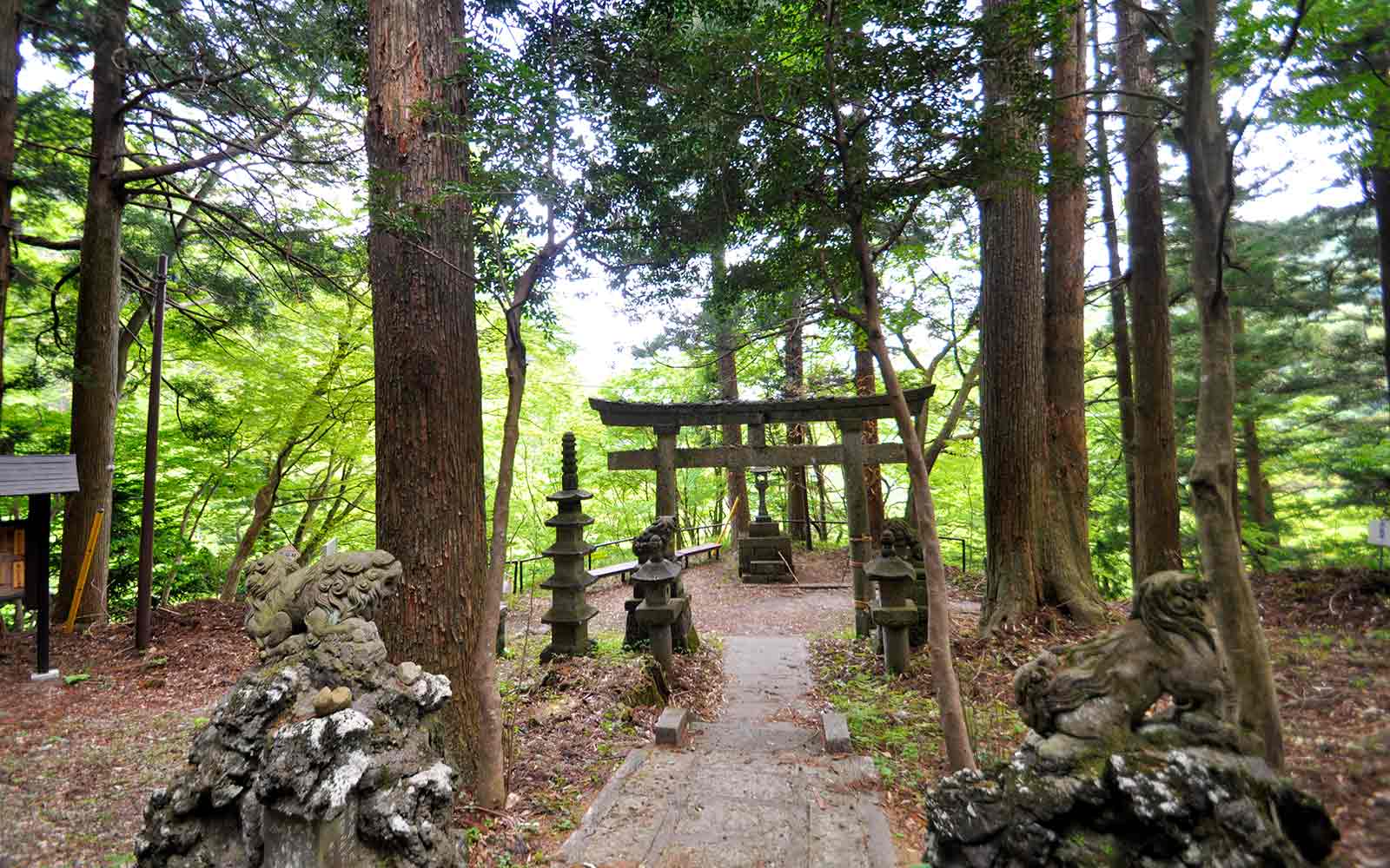 拝殿から鳥居を見たところ。