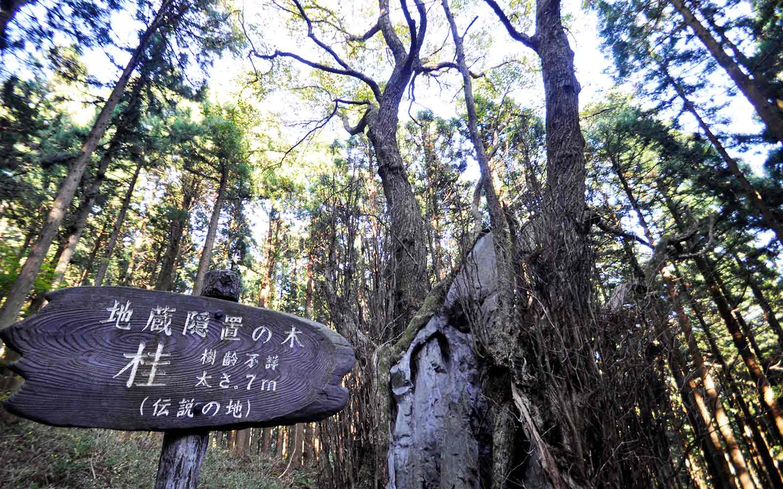 売店にはお土産やお酒などございます。