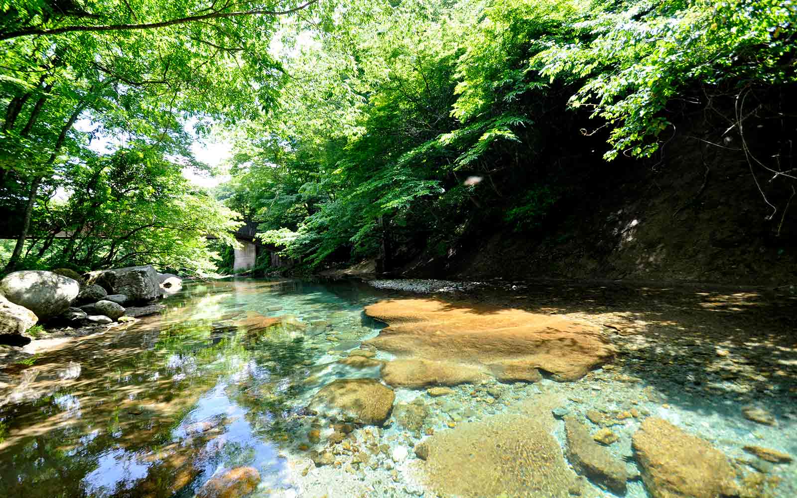 沼ッ原湿原