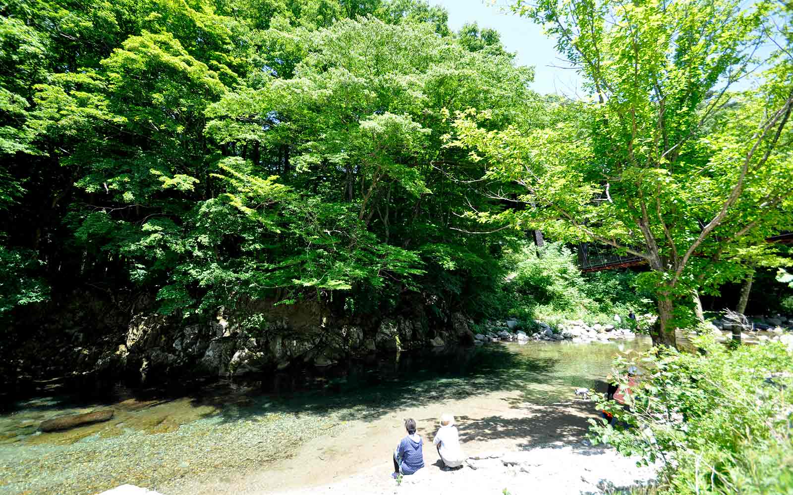 沼ッ原湿原