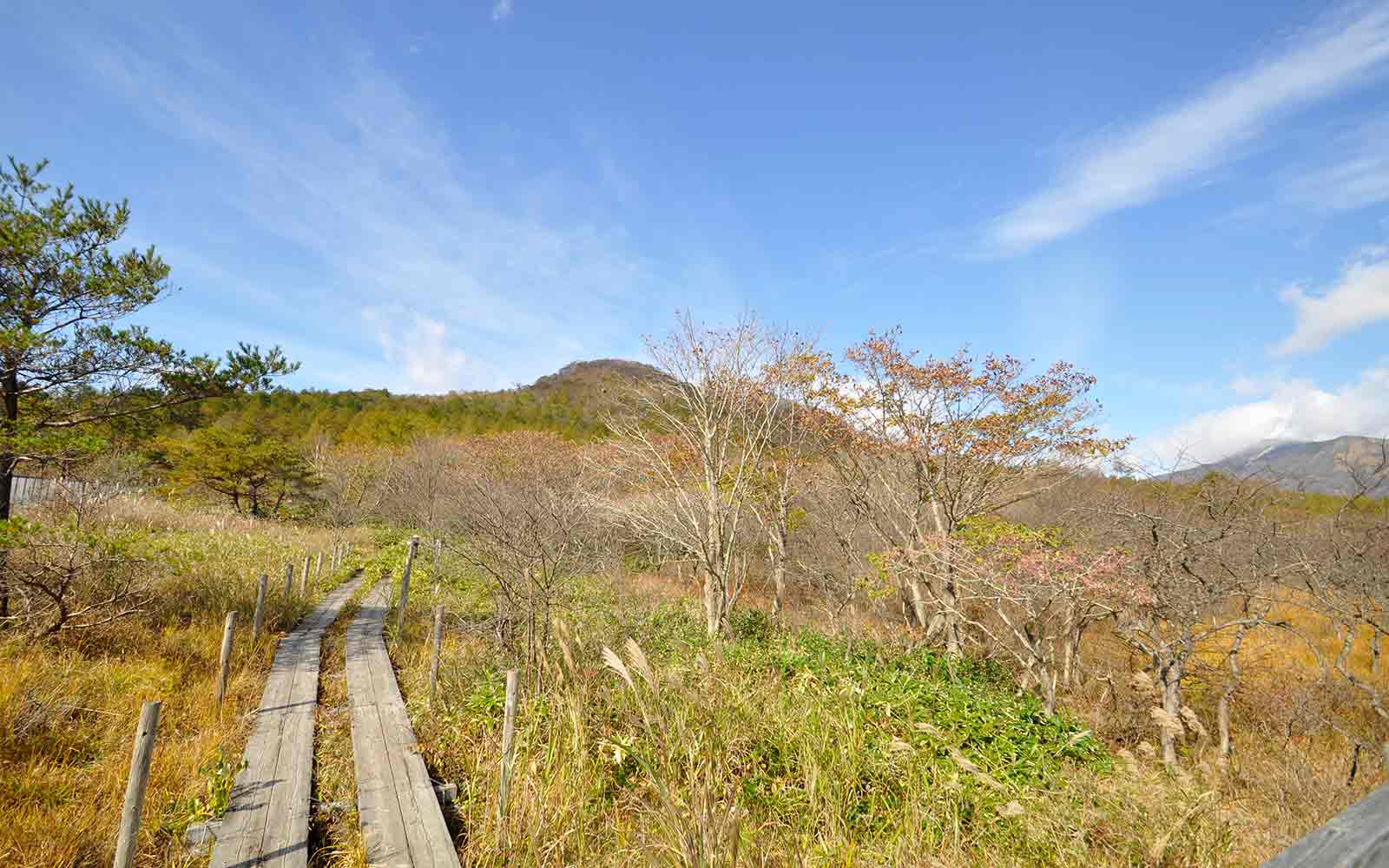 沼ッ原湿原